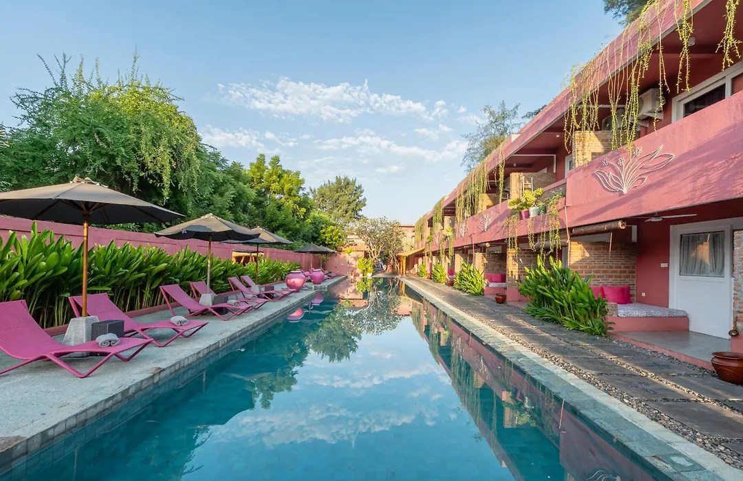 Pinkcoco Gili Trawangan - Constant Surprises - For Cool Adults Only-1