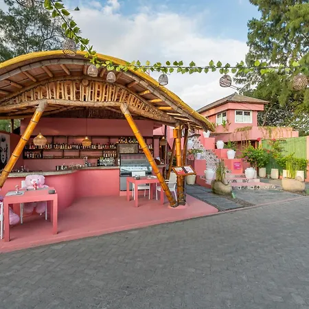Pinkcoco Gili Trawangan - Constant Surprises - For Cool Adults Only-2